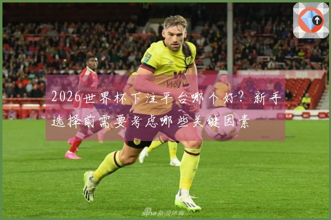 2026世界杯下注平台哪个好？新手选择前需要考虑哪些关键因素