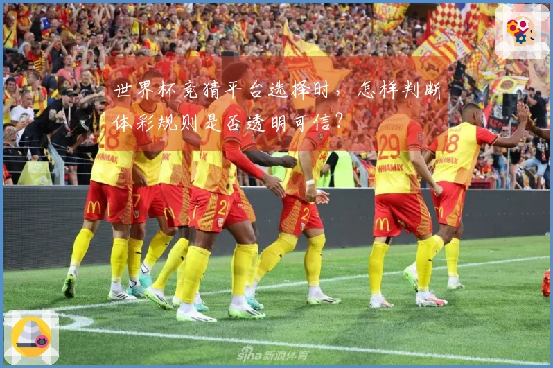 世界杯竞猜平台选择时，怎样判断体彩规则是否透明可信？