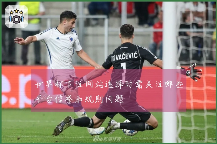 世界杯下注网站选择时需关注哪些平台信誉和规则问题