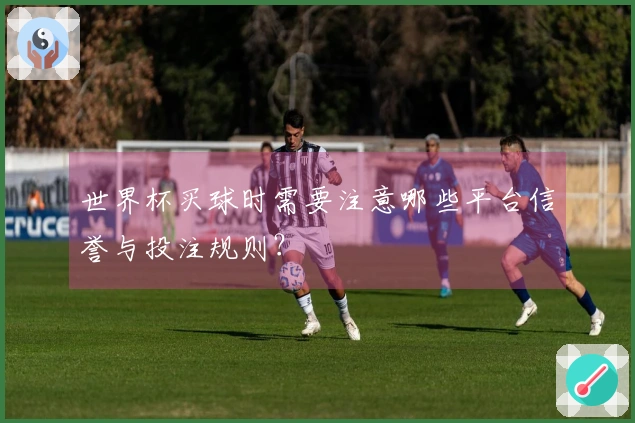 世界杯买球时需要注意哪些平台信誉与投注规则？