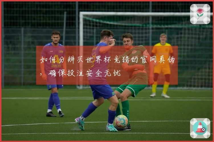 如何分辨买世界杯竞猜的官网真伪，确保投注安全无忧