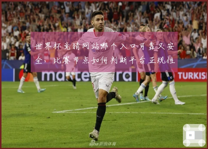 世界杯竞猜网站哪个入口可靠又安全，比赛节点如何判断平台正规性