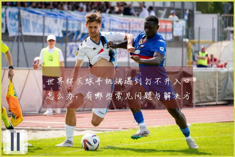 世界杯买球手机端遇到打不开入口怎么办，有哪些常见问题与解决方法
