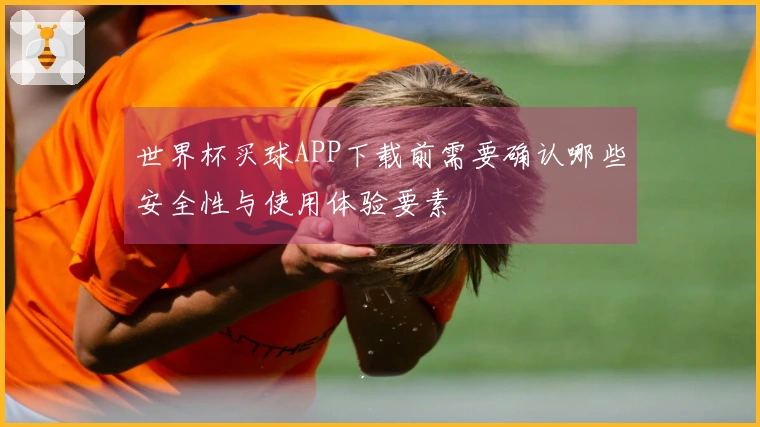 世界杯买球APP下载前需要确认哪些安全性与使用体验要素