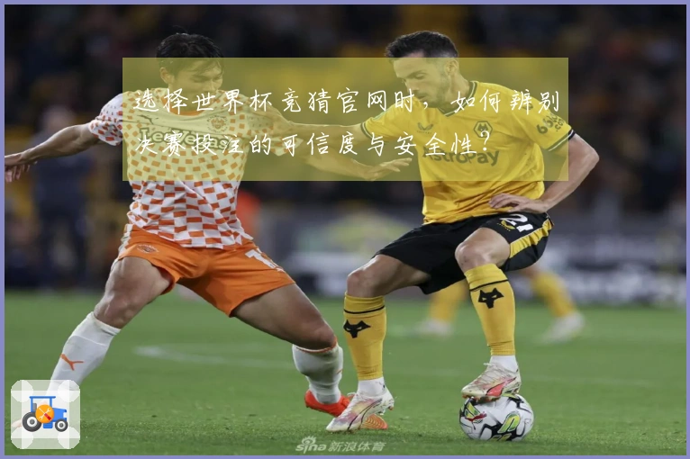 选择世界杯竞猜官网时，如何辨别决赛投注的可信度与安全性？