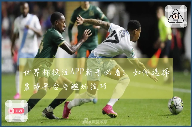 世界杯投注APP新手必看：如何选择靠谱平台与避坑技巧