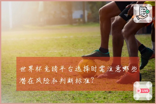 世界杯竞猜平台选择时需注意哪些潜在风险和判断标准？