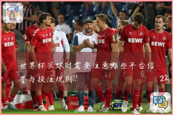 世界杯买球时需要注意哪些平台信誉与投注规则？