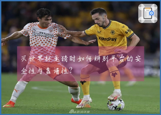 买世界杯竞猜时如何辨别平台的安全性与靠谱性？