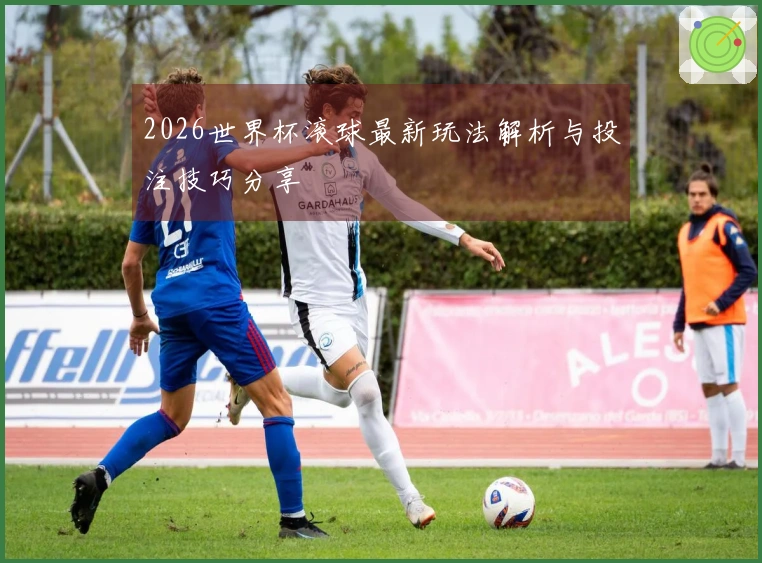 2026世界杯滚球最新玩法解析与投注技巧分享