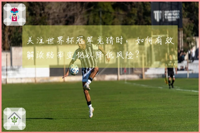 关注世界杯冠军竞猜时，如何有效解读赔率变化以降低风险？