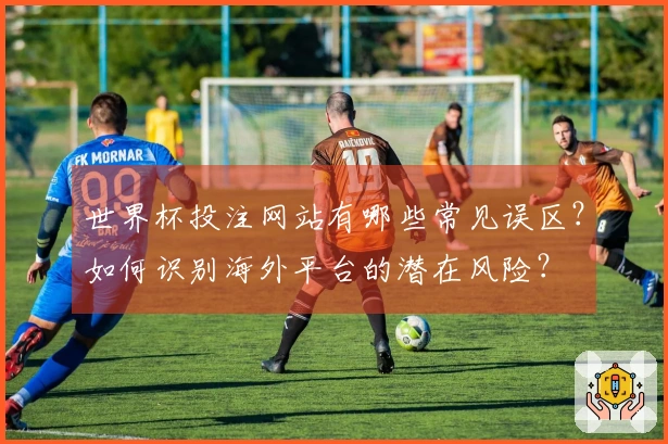 世界杯投注网站有哪些常见误区？如何识别海外平台的潜在风险？
