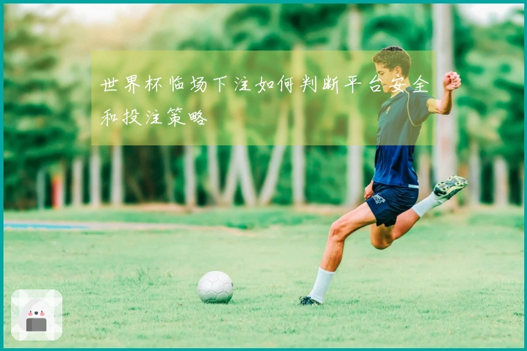 世界杯临场下注如何判断平台安全和投注策略