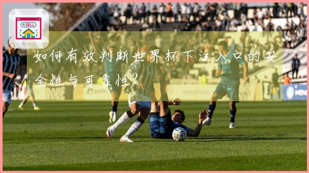 如何有效判断世界杯下注入口的安全性与可靠性？
