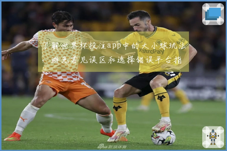 了解世界杯投注app中的大小球玩法，避免常见误区和选择错误平台指南