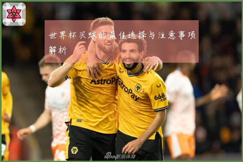 世界杯买球的最佳选择与注意事项解析