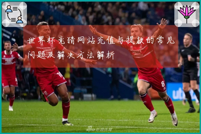 世界杯竞猜网站充值与提款的常见问题及解决方法解析