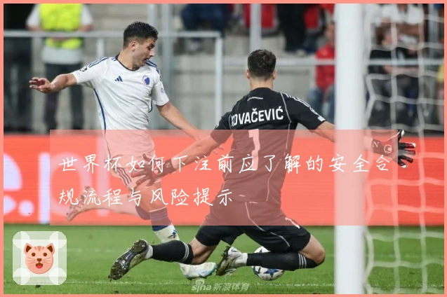 世界杯如何下注前应了解的安全合规流程与风险提示