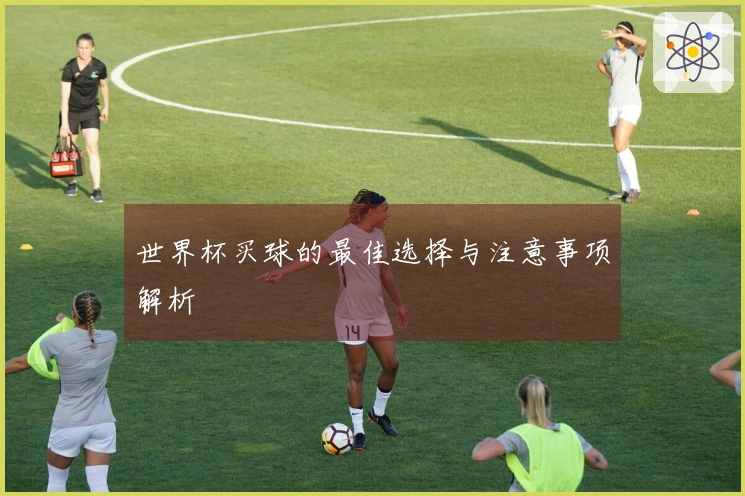 世界杯买球的最佳选择与注意事项解析