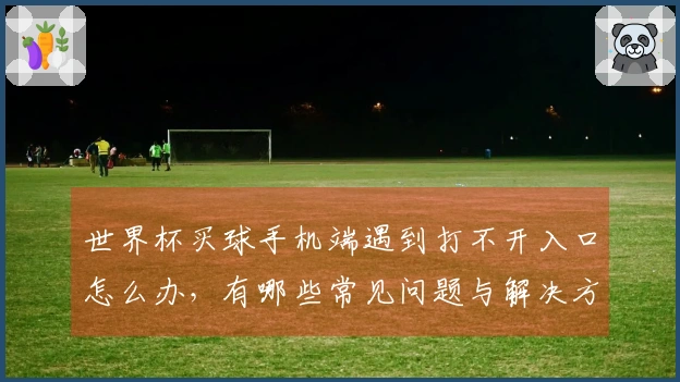 世界杯买球手机端遇到打不开入口怎么办，有哪些常见问题与解决方法
